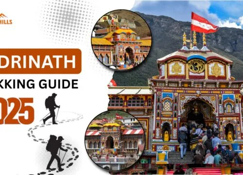 Trekking to Badrinath Dham | Complete Route Guide 2025